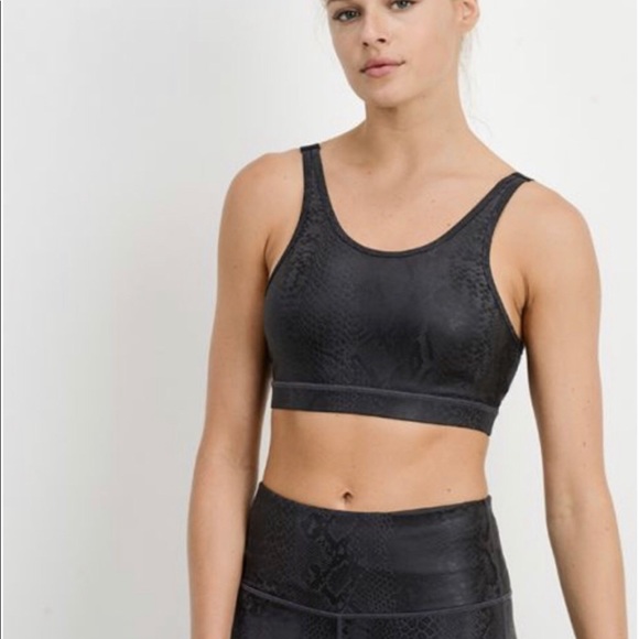 Black Mamba Sports Bra - Picture 5 of 5